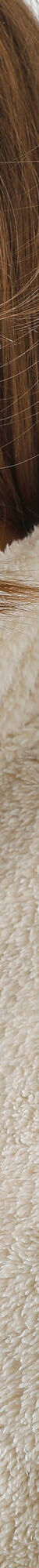 Veste zippée, maille peluche (beige chiné) Veste zippée, maille peluche (beige chiné)